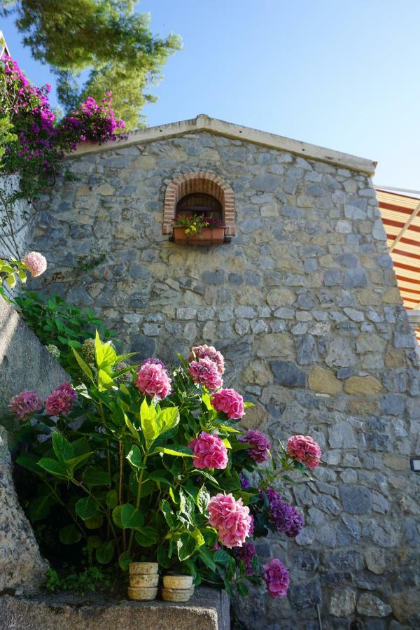 B&B Villa La Petra San Nicola Arcella Zewnętrze zdjęcie